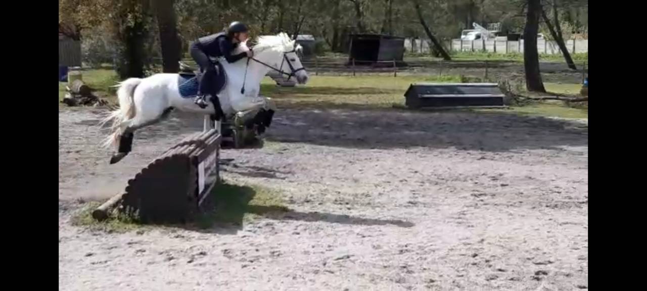 Enseignement et Saddle Fitting dans le 64
