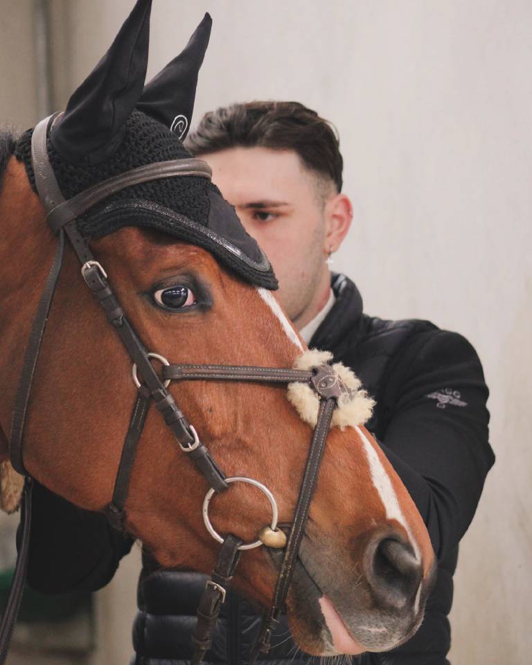 Pur-sang &agrave; vendre