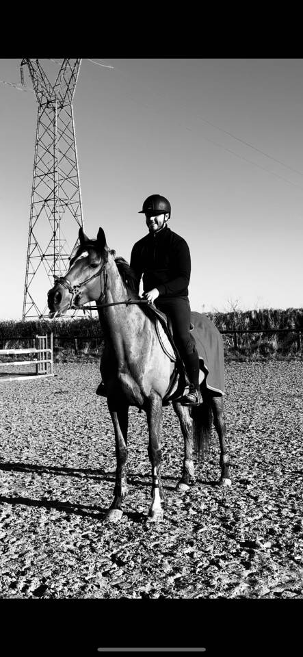 Pur-sang &agrave; vendre