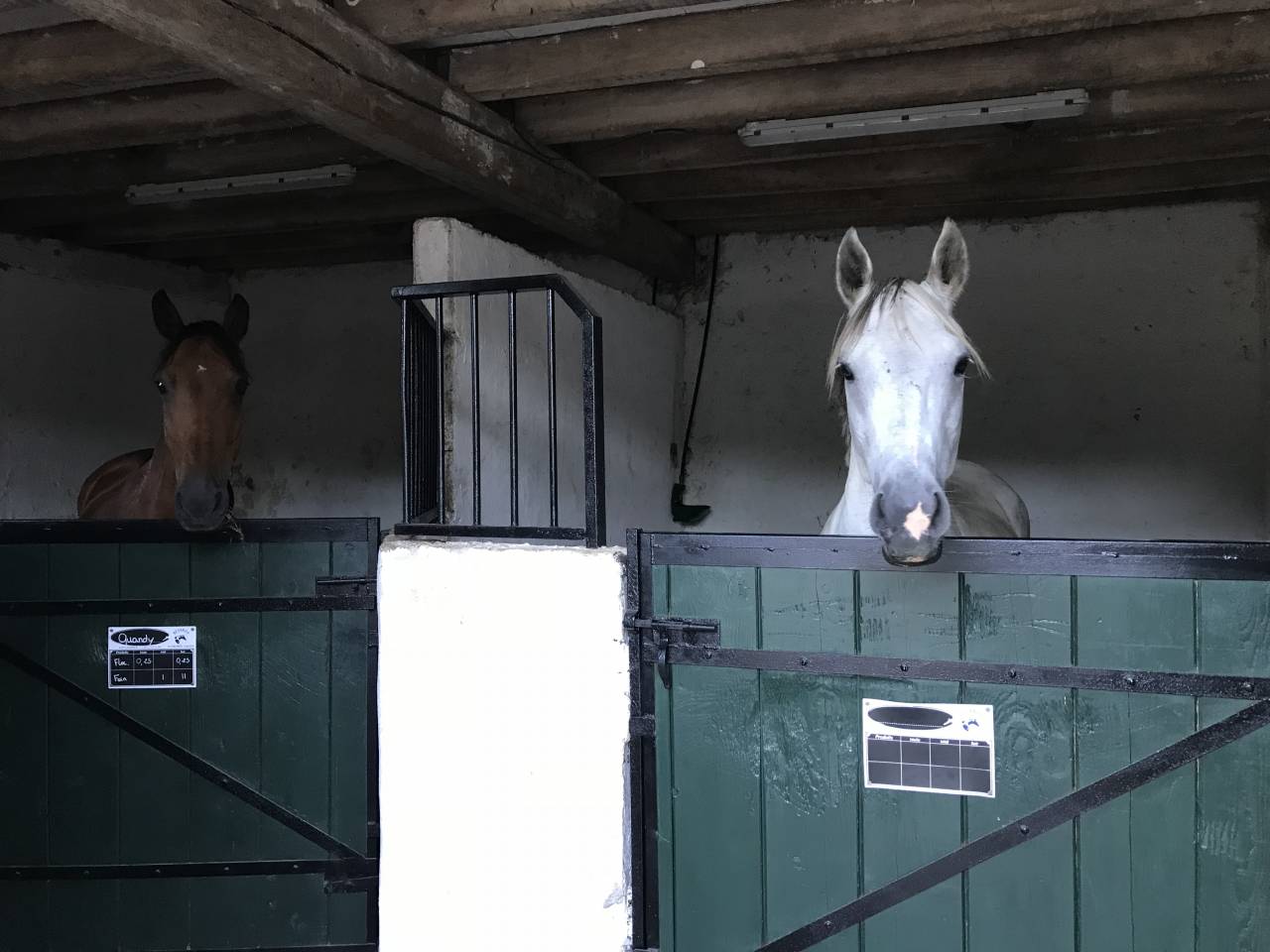 Pension box/paddocks et pr&eacute;