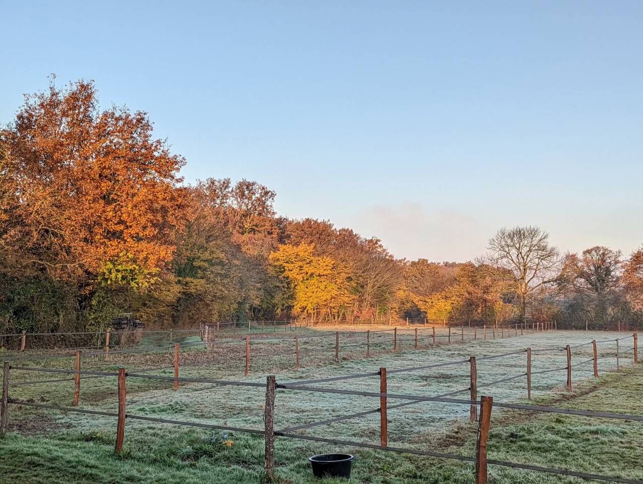 Pension box / paddock dans l'Indre