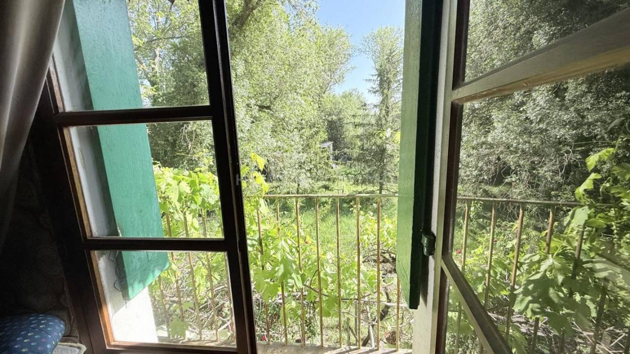 1000765_1777602730_0798.jpg
