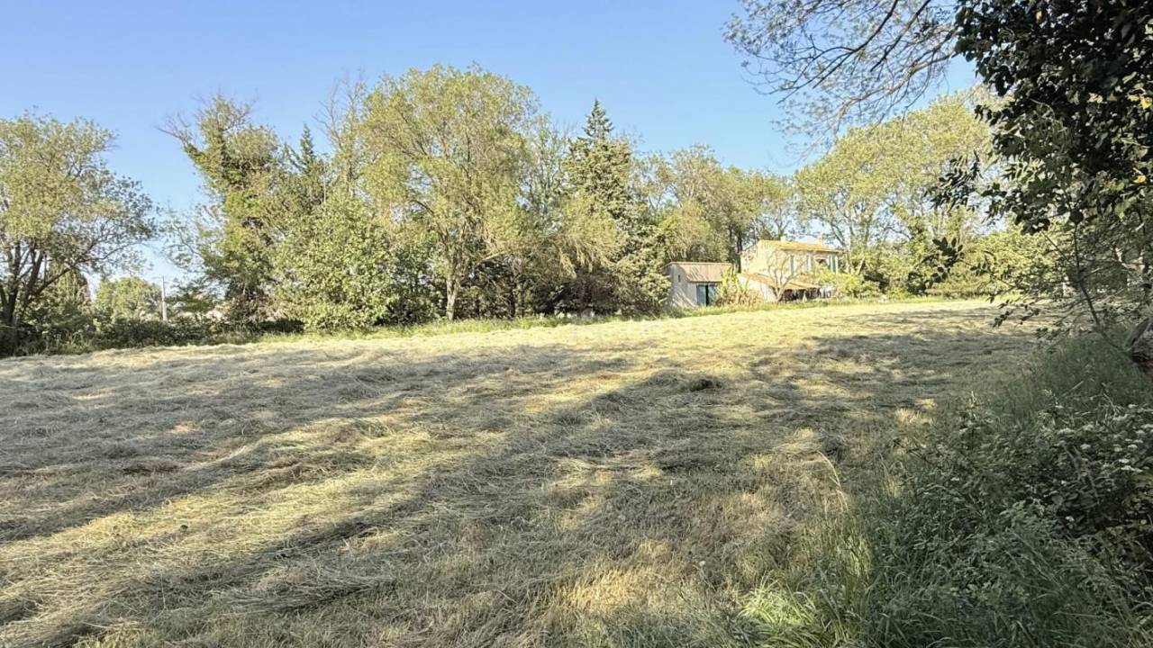 1000765_1777602740_9497.jpg