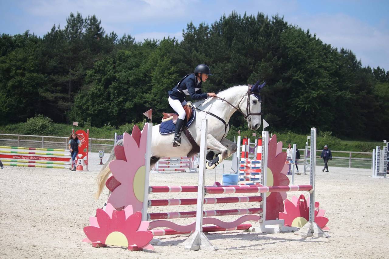 ✨ &Agrave; VENDRE &ndash; Jeune cheval d&rsquo;avenir ✨