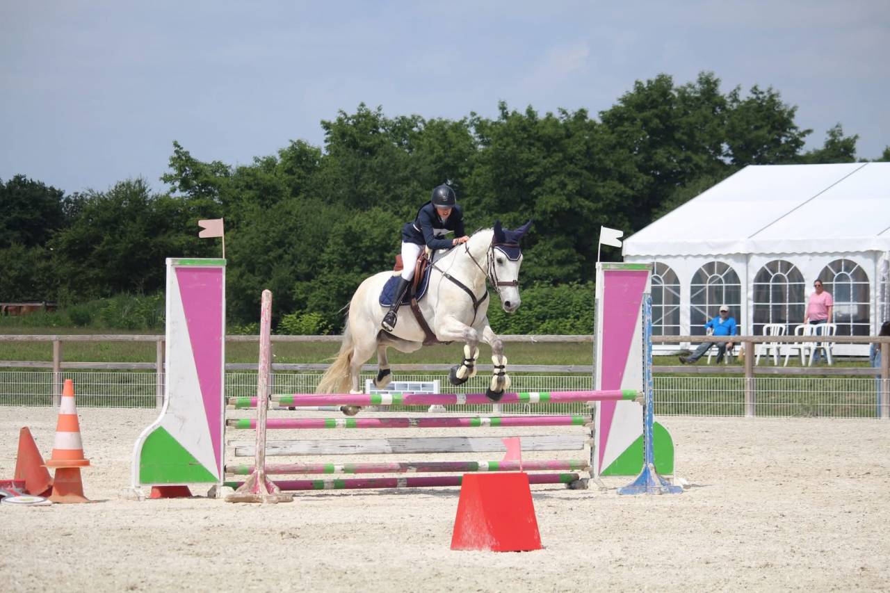 ✨ &Agrave; VENDRE &ndash; Jeune cheval d&rsquo;avenir ✨