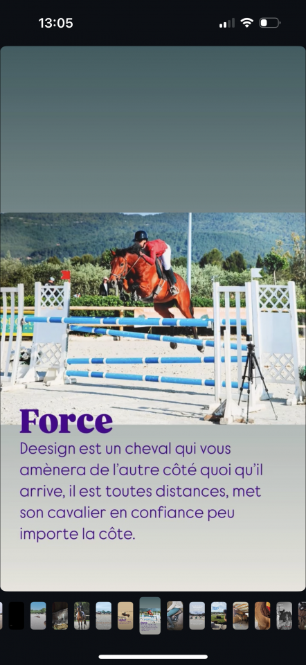 HONGRE SF 13 ans 