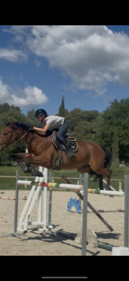 HONGRE SF 13 ans 