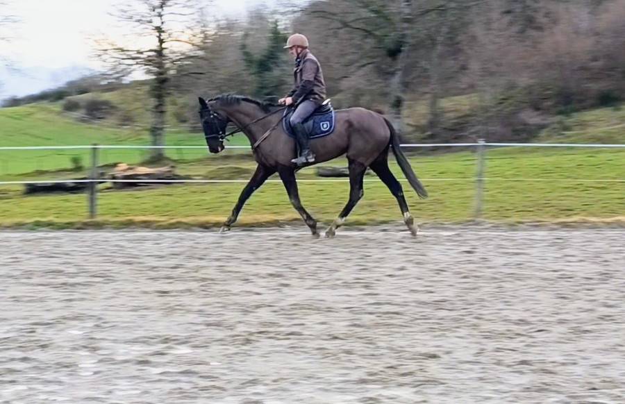Superbe AQPS 5 ans