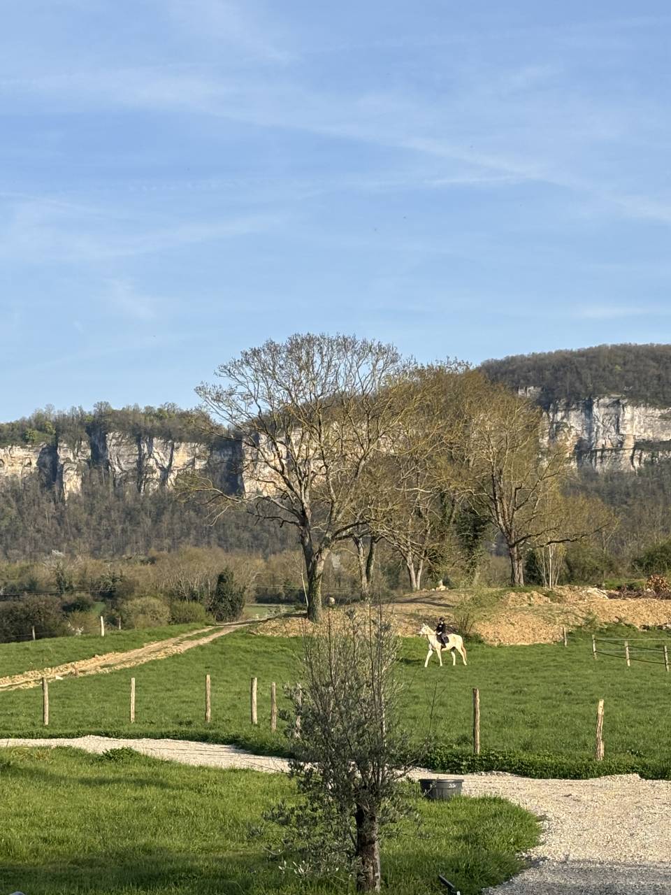 Pension au pr&eacute; - Les prairies de Larina - Hieres sur Amby (38)