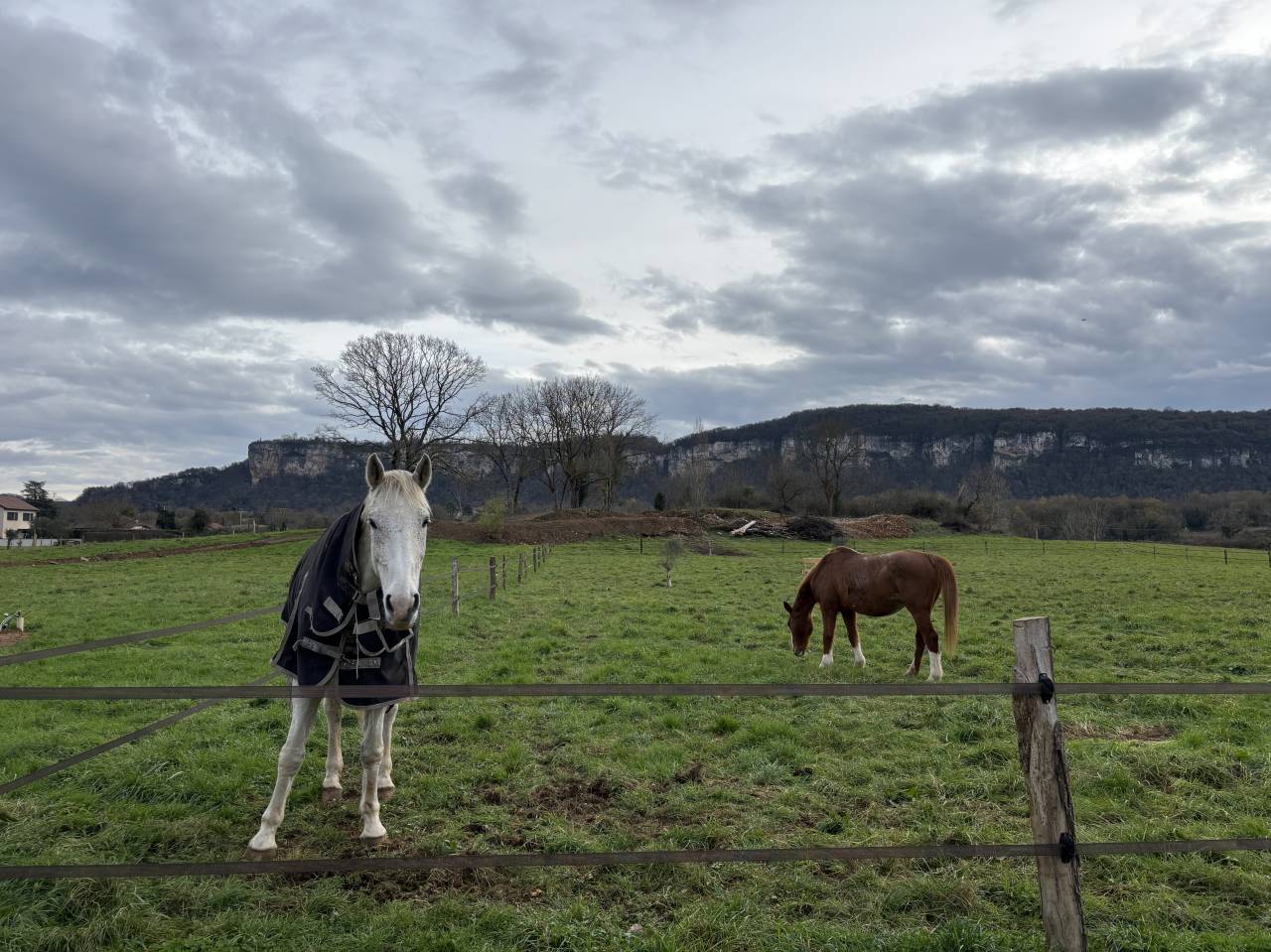 Pension au pr&eacute; - Les prairies de Larina - Hieres sur Amby (38)