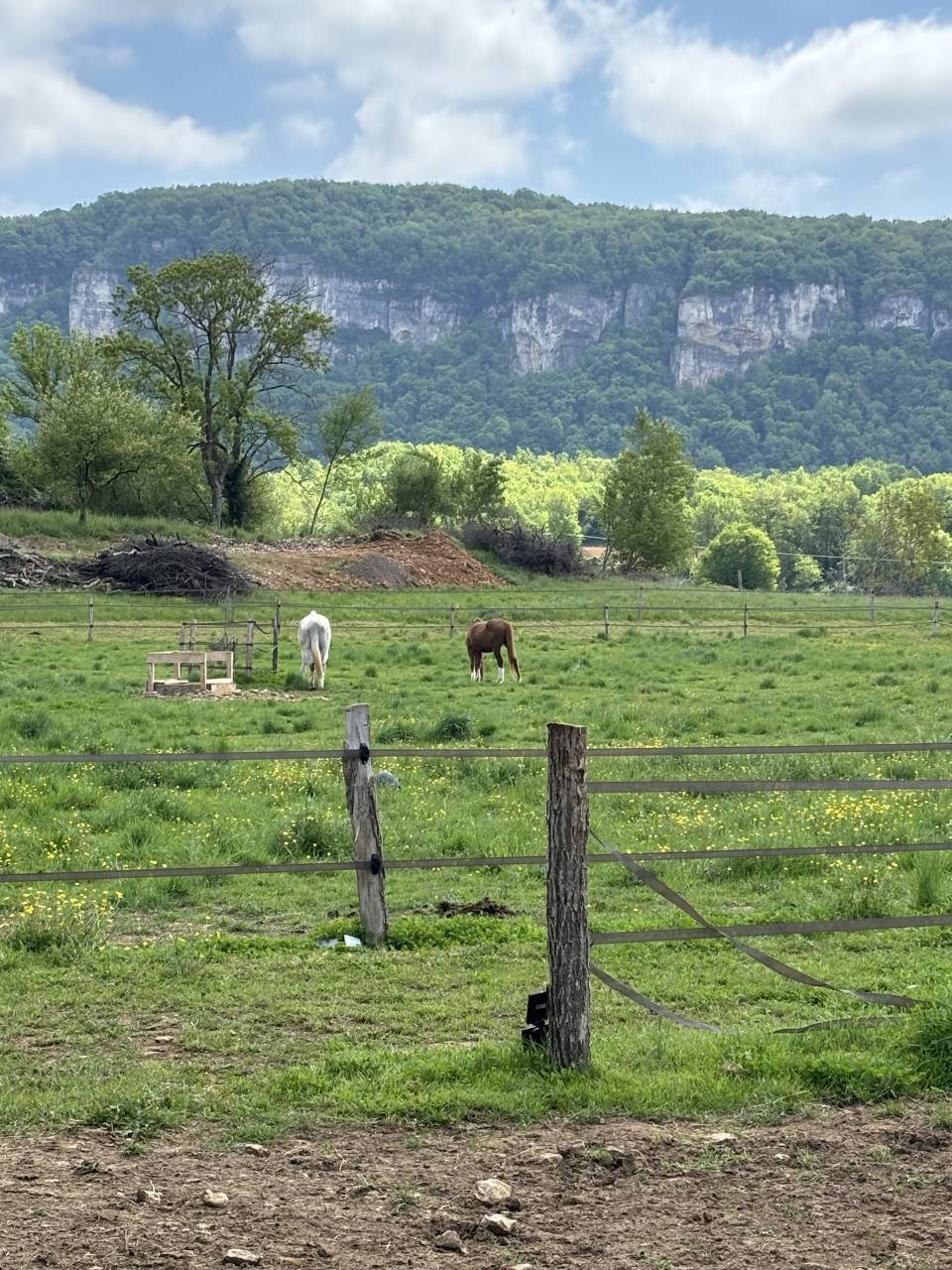 Pension au pr&eacute; - Les prairies de Larina - Hieres sur Amby (38)