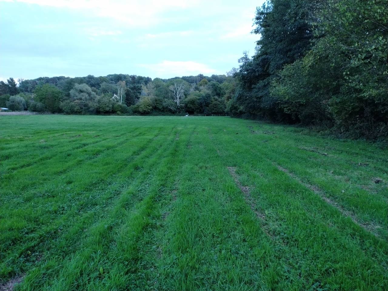 Prairie/pr&eacute; - Montreuil sur Epte 95770