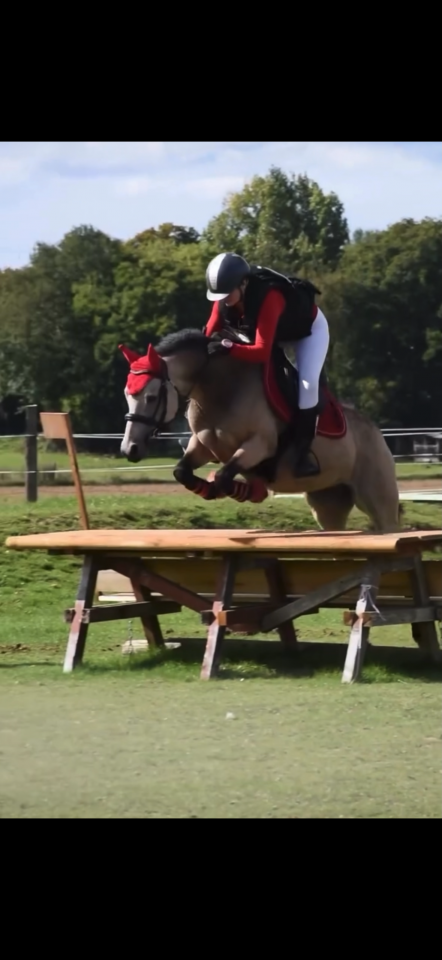 Vente ponette connemara CCE 13 ans