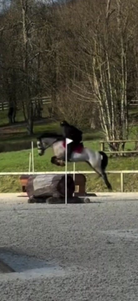 Vente ponette connemara CCE 13 ans