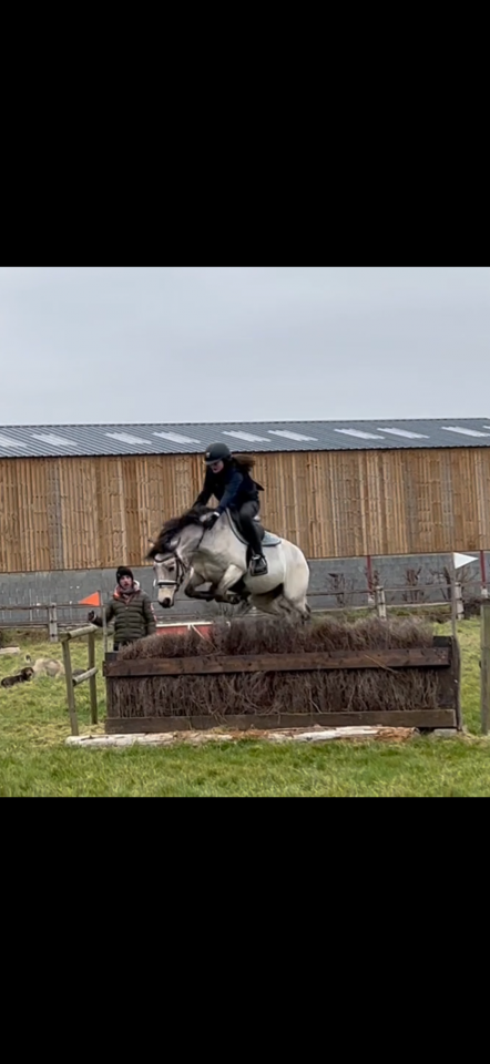 Vente ponette connemara CCE 13 ans