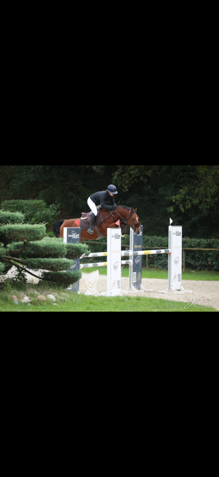 Poney de sport performant 9 ans 1m46