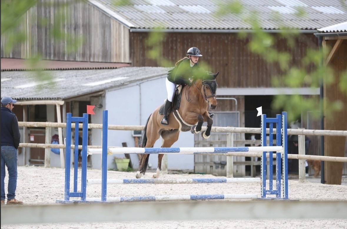 Poney D &agrave; vendre 