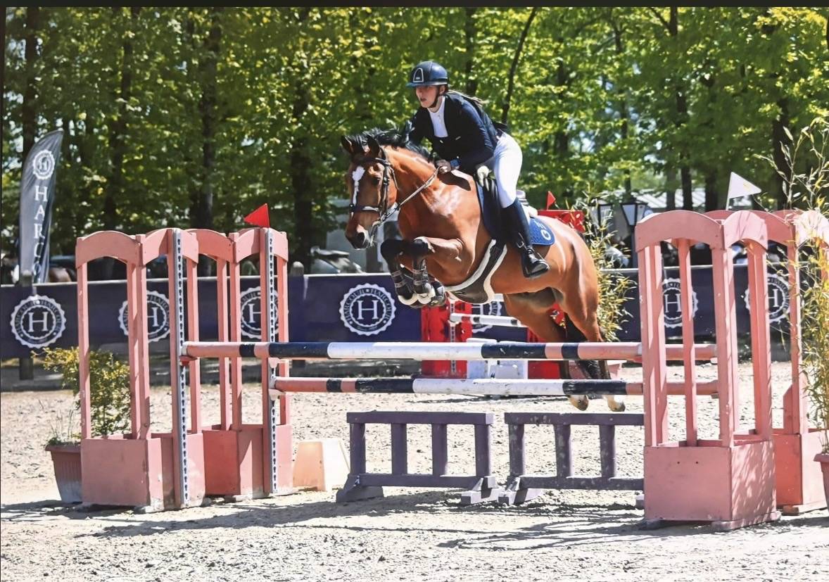 Poney D &agrave; vendre 