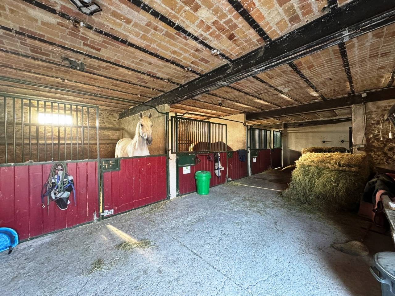 1001147_1777839459_731.jpg