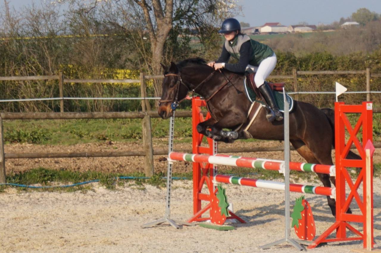 Ponette top potentiel 