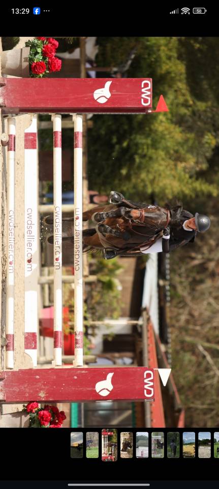 Ponette top potentiel 