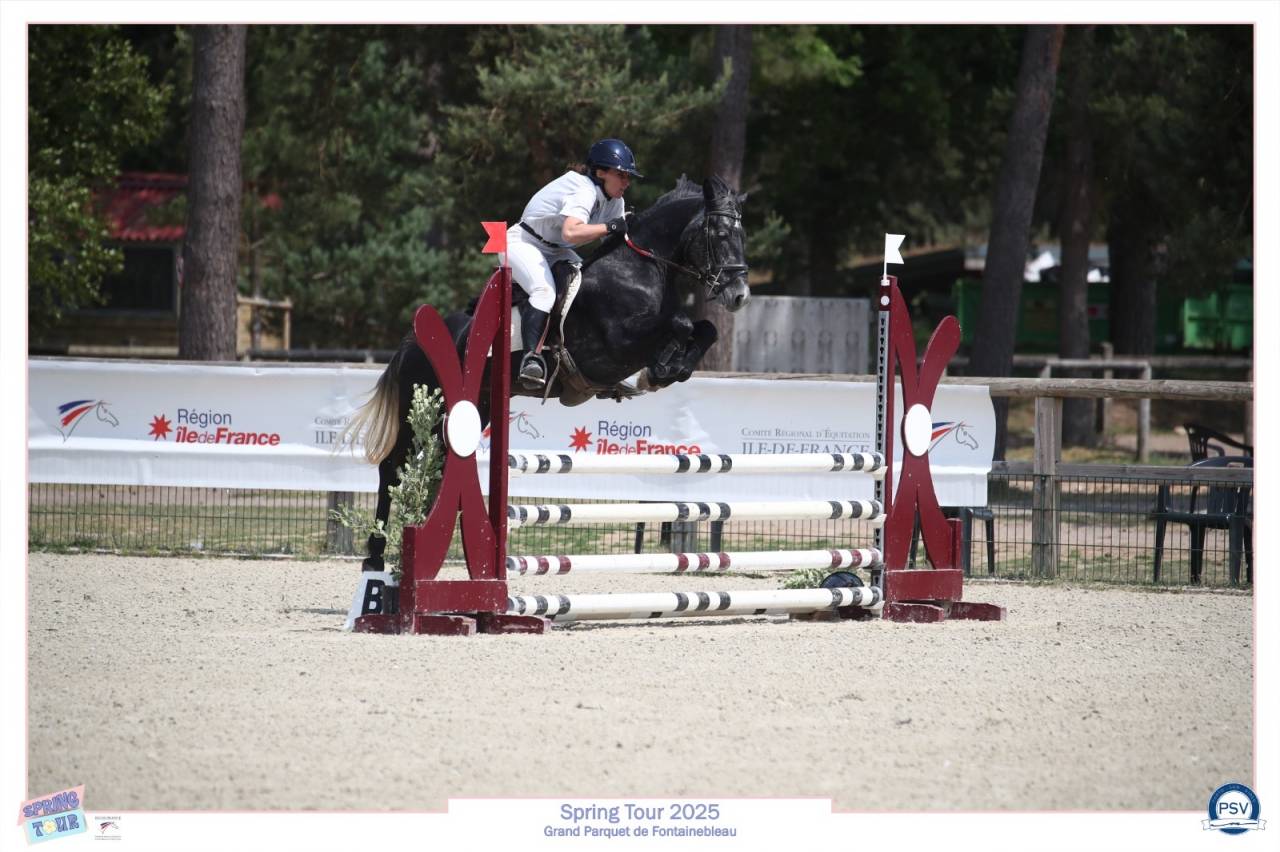 Pensions chevaux Paris 