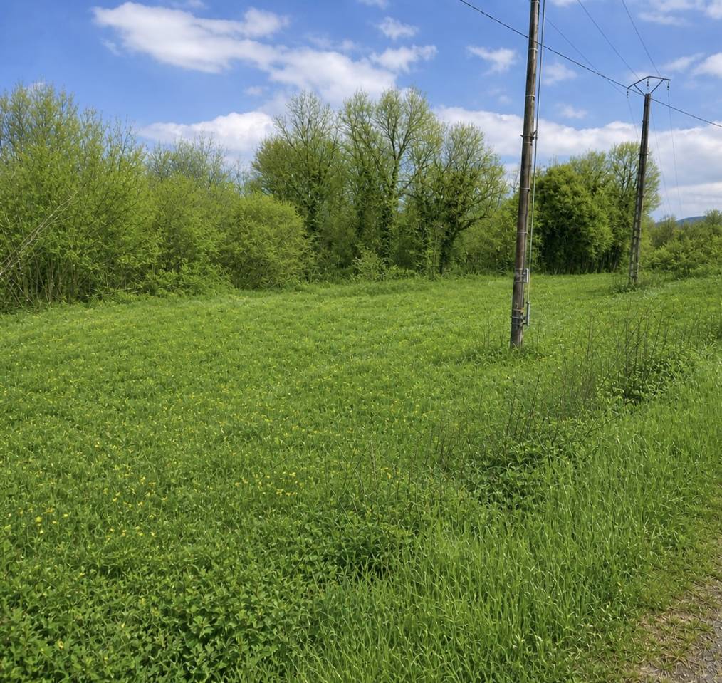 Vds belle petite maison de 45m2 avec 6000m2 de pr&eacute; 