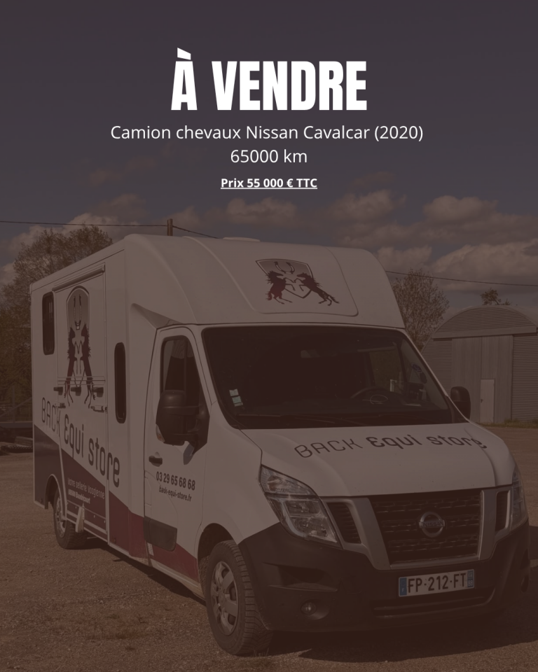 Camion VL deux places avec couchette 