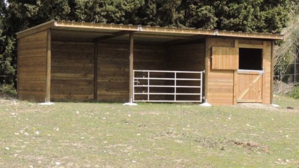 Pension cheval / poney ☺️
