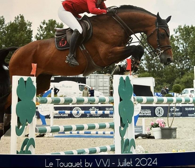 M&acirc;le Baloubet du rouet x Contender 