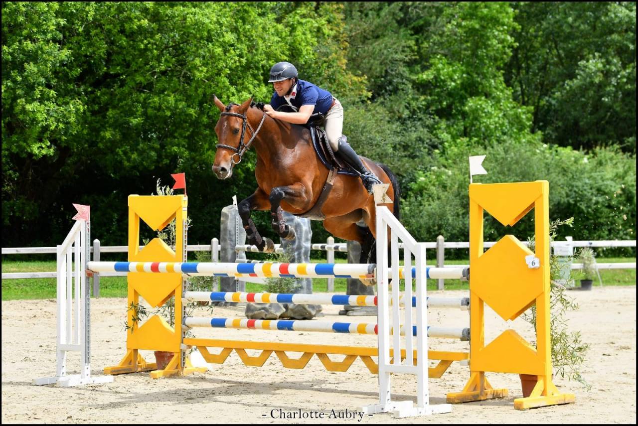 Jument sf de 7 ans - CSO 130 et +