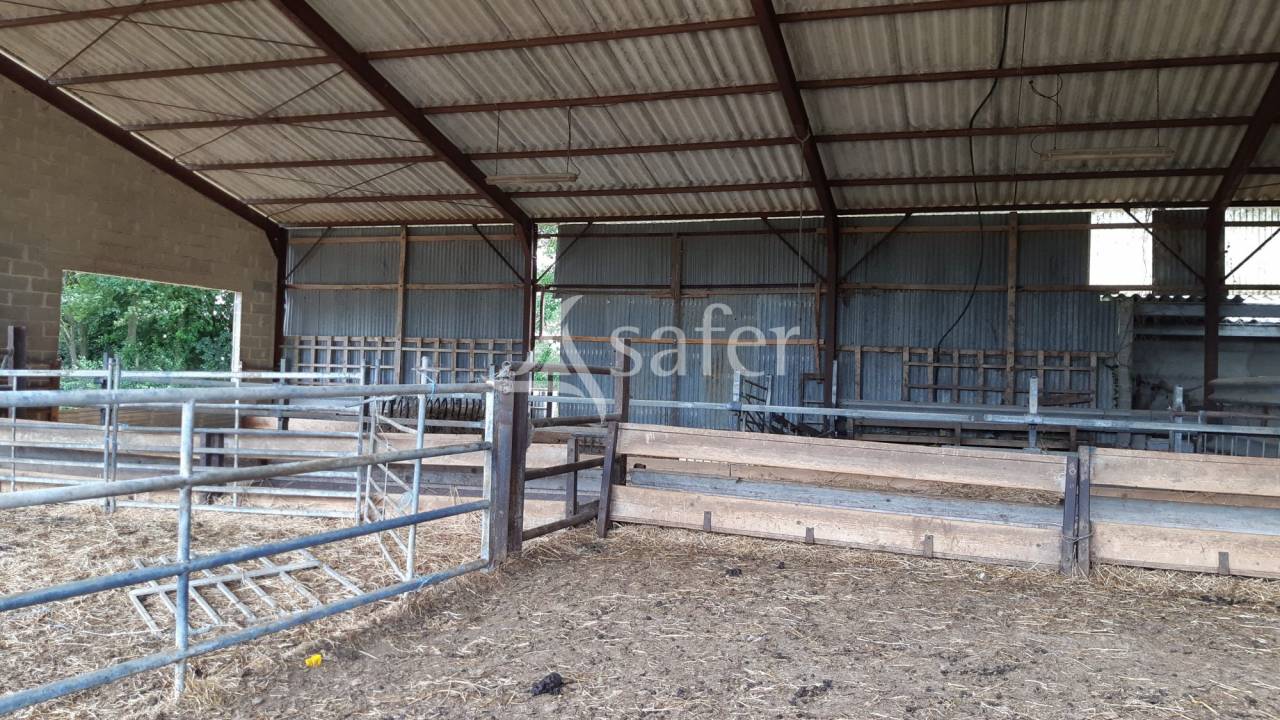 Fermette en Agriculture Biologique sur environ 40 ha (dont 36 &agrave;