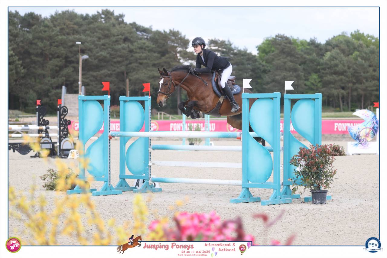 GRAND PRIX AS ELITE COYOTTE GIRL DU GARON