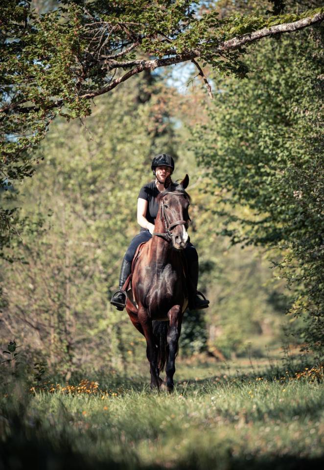Cheval de loisirs 