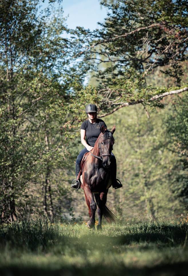 Cheval de loisirs 