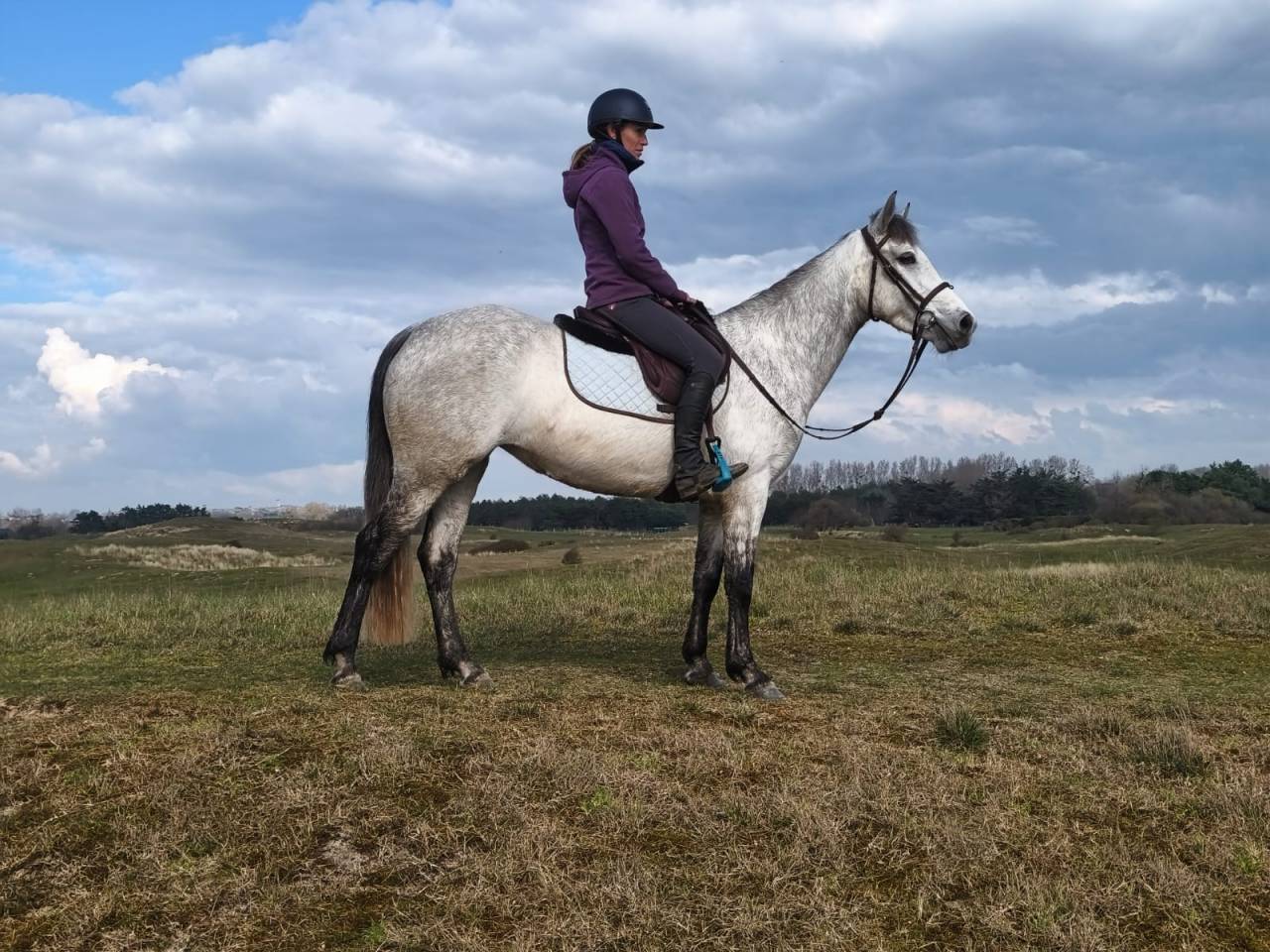 Ponette d'endurance 
