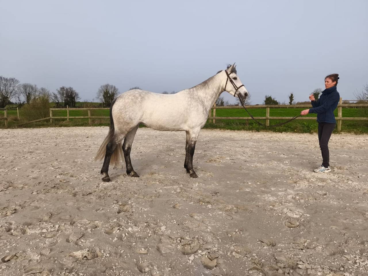 Ponette d'endurance 