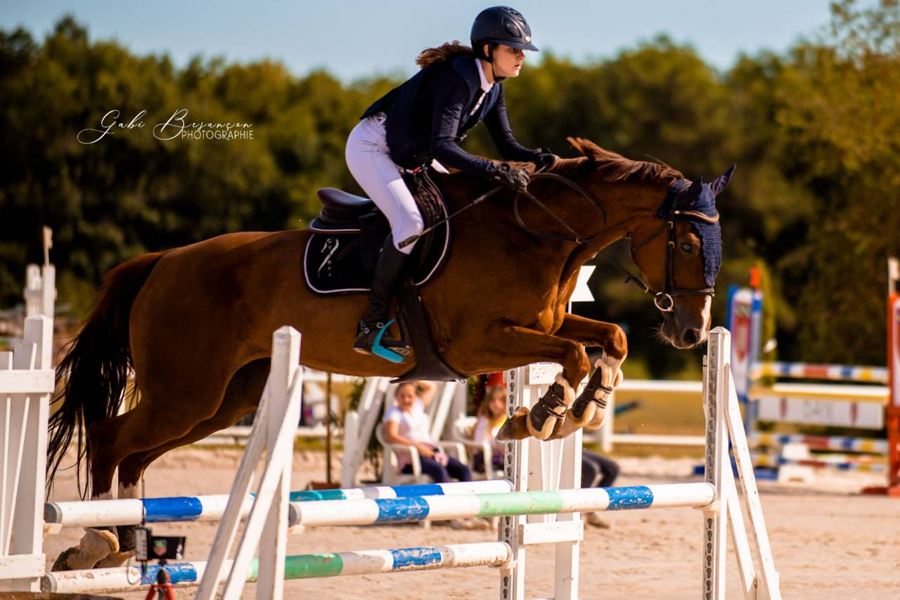 Juments SF pour Elevage 