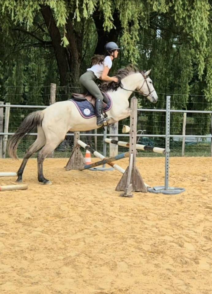 Jolie jument loisir cso 