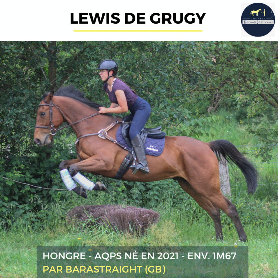 LEWIS DE GRUGY - AQPS - 4 ANS