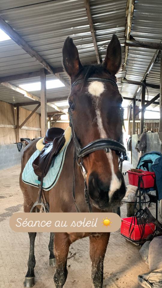 Jument Club, Loisirs, Sport
