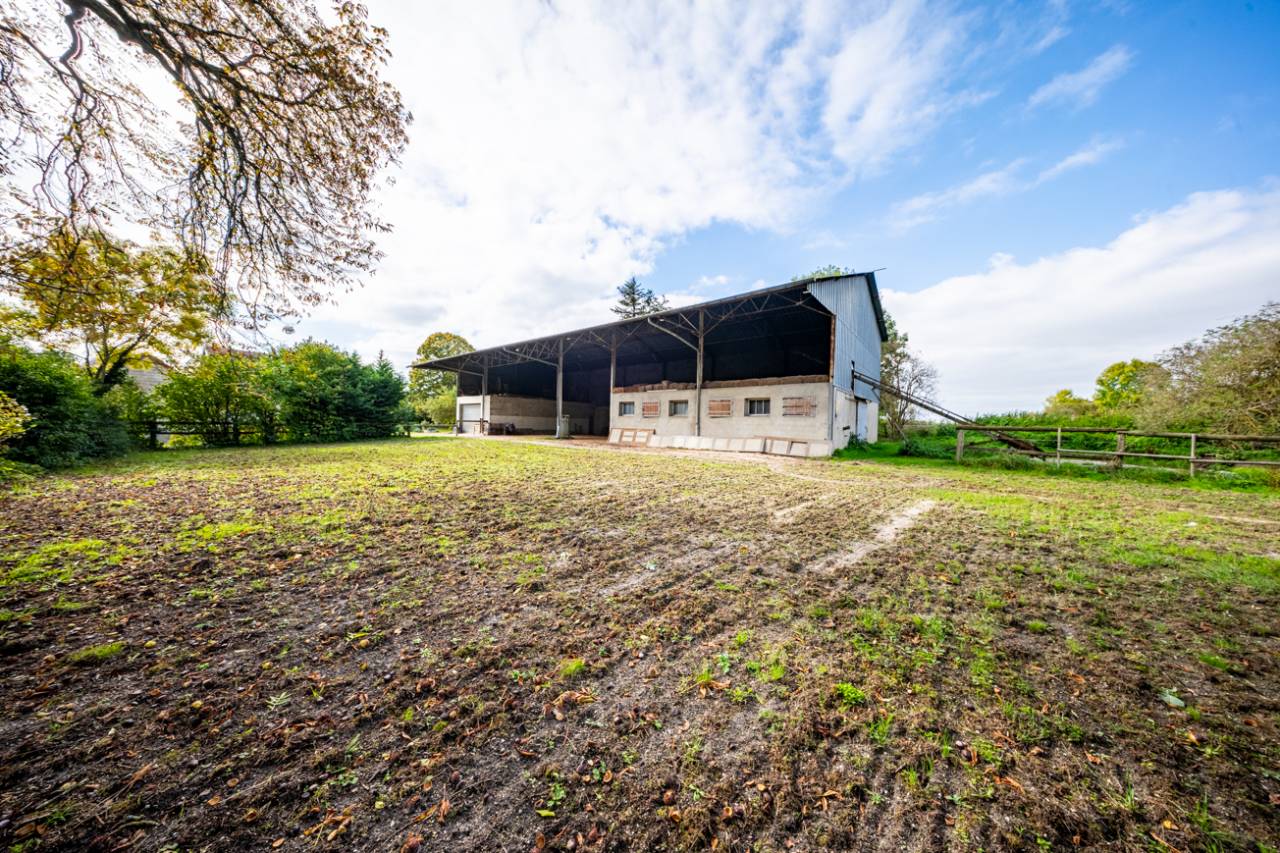 PROPRIETE EQUESTRE AVENDRE, avec grande maison + Grange