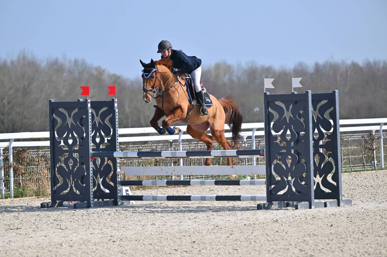 Hongre de 11 ans pour du loisir/CSO
