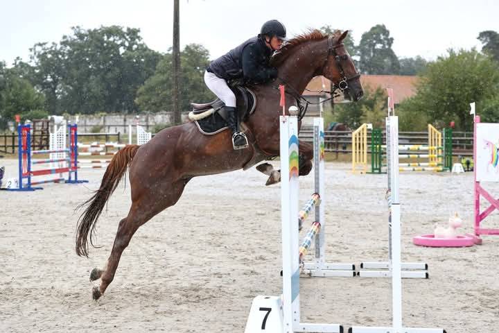 Hongre de 11 ans pour du loisir/CSO