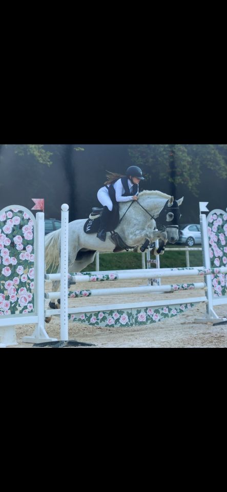 Anton - Cheval &agrave; vendre 16 ans