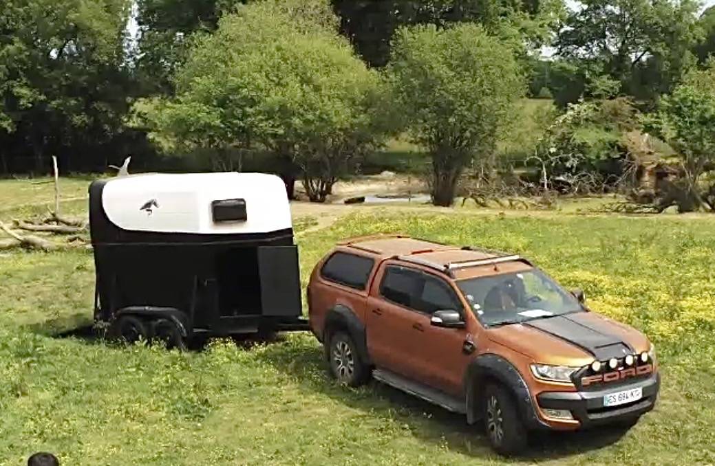 Van chevaux - 2 places 