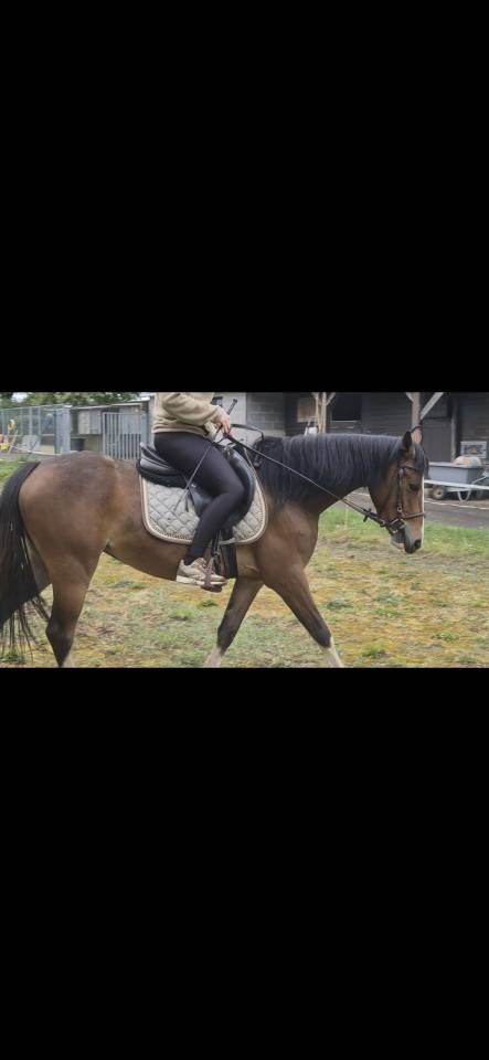 Ponette PFS 3 ans