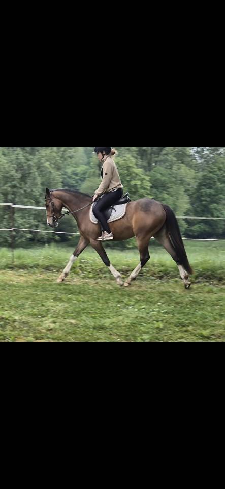 Ponette PFS 3 ans