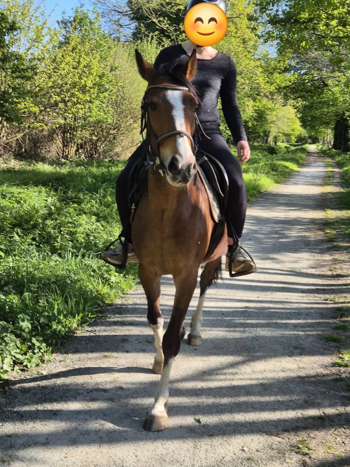 Ponette PFS 3 ans