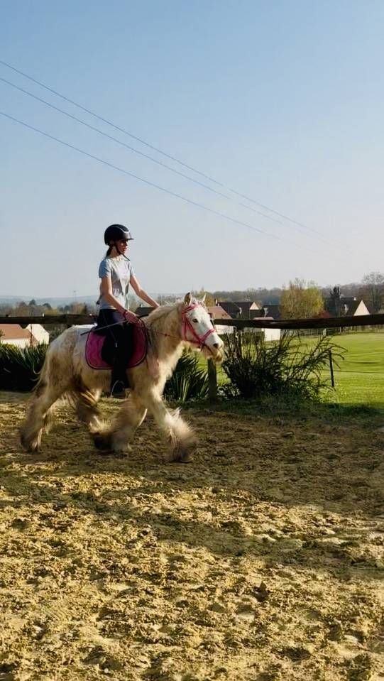 Poney 4 ans 130 cm type irish 